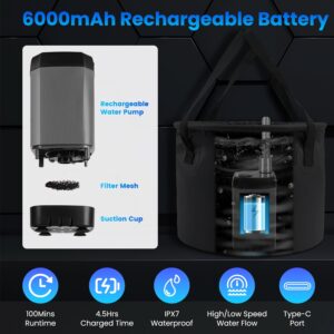 1942476333284331520 1.jpg