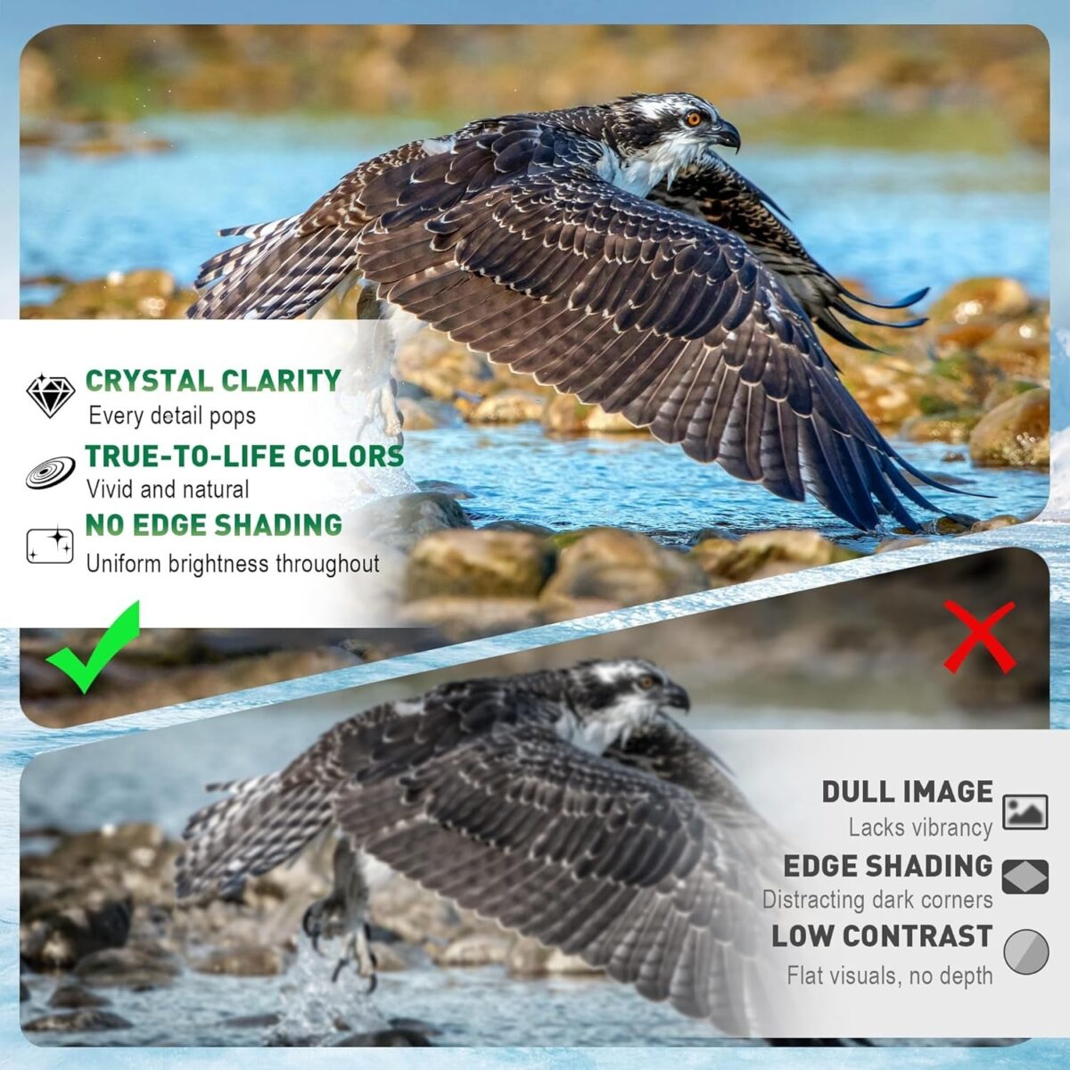 470e64e9 aa10 4604 8723 93a7e08e40a0.jpeg