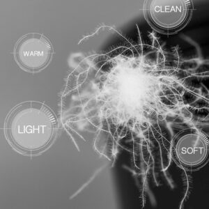 6fb3ce6d 4049 4a22 9f7c fa75ce31f9d4.jpg