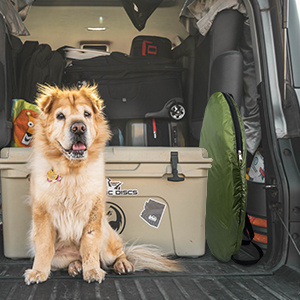 714b1ce4 a303 4101 b012 7972fc64e38f.jpg