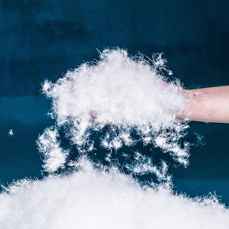 a626049d 0bda 43ec 9550 2905e3a2b941.jpg