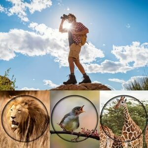 ea10ba92 b77d 4e95 9e02 2d63aaff52a5.jpg