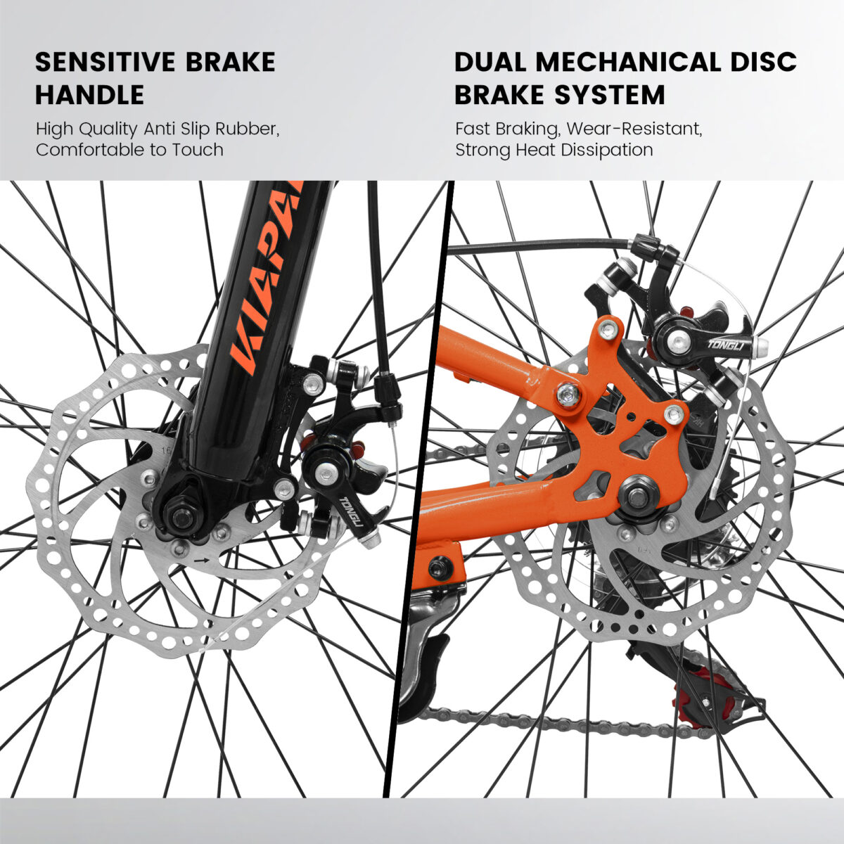 20f7652c eebd 4f48 8943 a6fb77e87d20.jpg