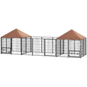 53386101 2686 4864 afde e70c094c06cf.jpg