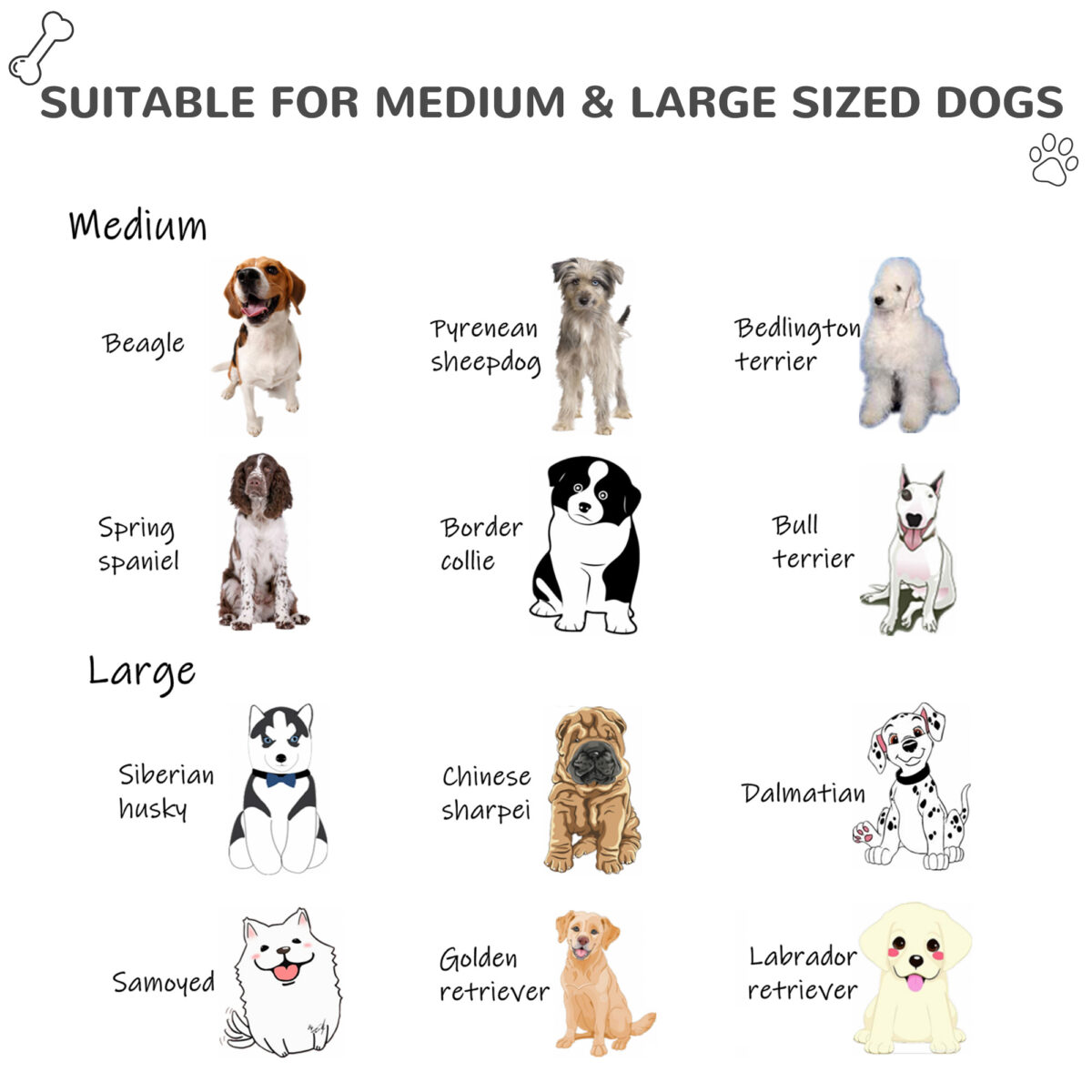 55cadcca 402e 48bc bcc4 825874590c6e.jpg