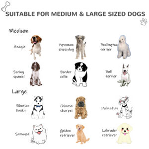 55cadcca 402e 48bc bcc4 825874590c6e.jpg