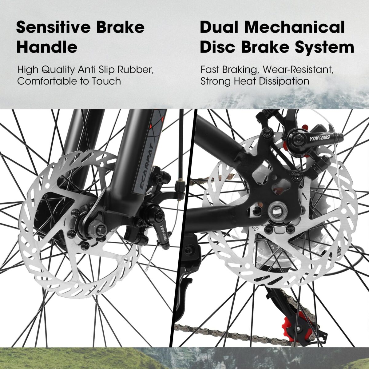 5c50d46e 0289 4edf b6d9 ba2a91a4f651.jpg