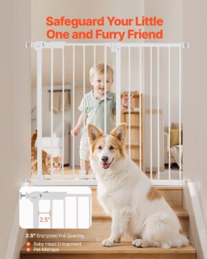 5faa0cb3 9e7f 4281 886b 726f4453d742.jpg