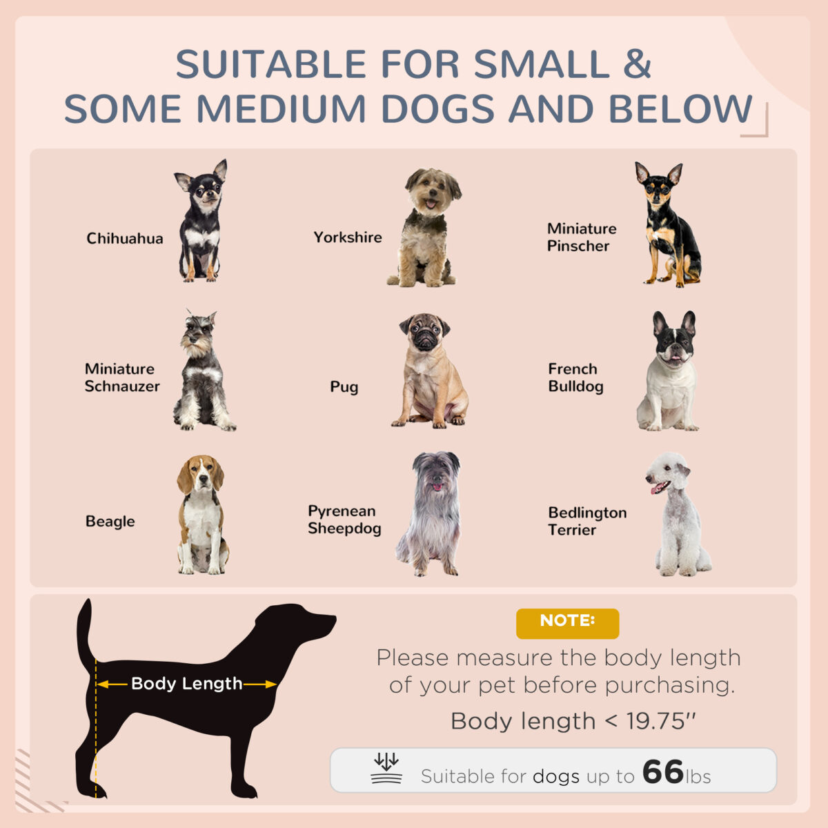 66cfec37 0cf3 485b b64d 0768b7792717.jpg