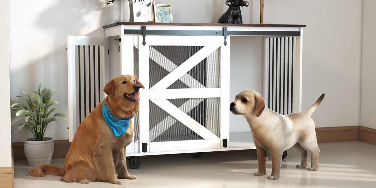 76e35367 d0c4 4dbd 920c 8eb6e8f8f5d0.jpg