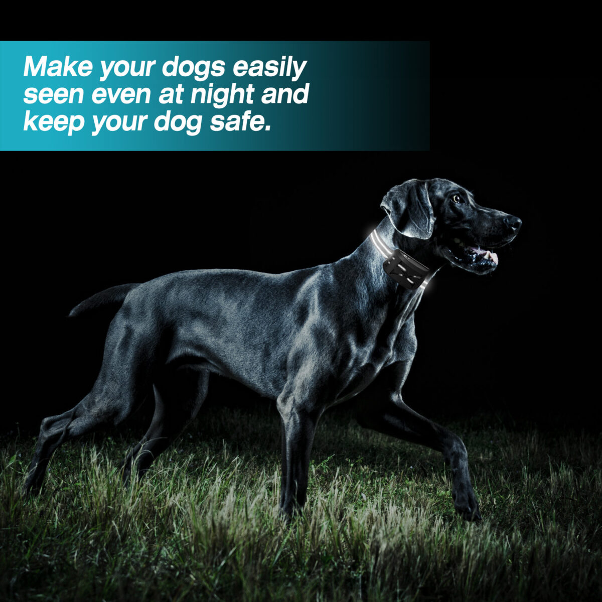 779ee482 f462 4e37 8cc0 808a50500ac7.jpg