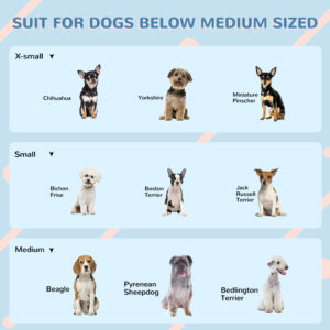 85117c8e 2d2b 4520 af87 d8841ef5d75c.jpg