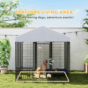 859b7f4f 3d32 4585 8da8 685ee1feea71.jpg