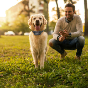 9513083d 4515 43c4 84c2 1c20f777208b.jpg