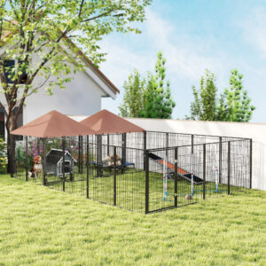 9f03f721 5c1d 4c4f b5fe 7d8bf42e1395.jpg