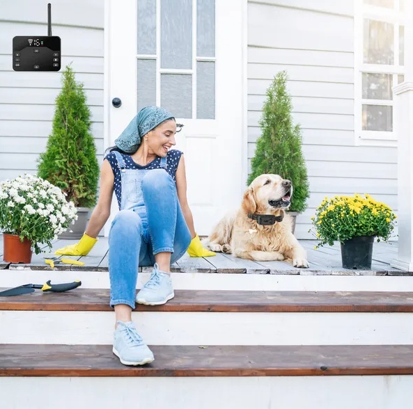 b10976f4 d075 4fd4 abe6 74aebb4fd7ad.jpg