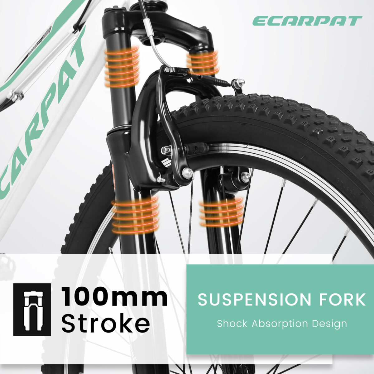 b1b2936c 3a89 4a10 b619 5b2cde400eb3.jpg