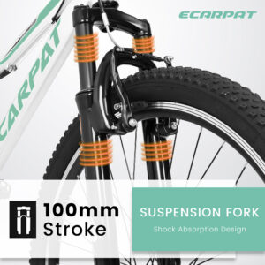 b1b2936c 3a89 4a10 b619 5b2cde400eb3.jpg