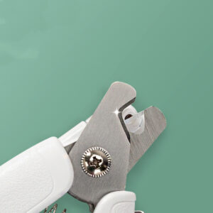 b33cb04f afef 46d1 b78b 02b39cea4b22.jpg