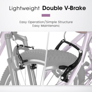 b443fb16 7437 4cb3 89a1 da0a458854ad.jpg