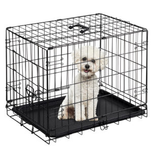 c441d203 e46e 4f7a 9193 861bb35f3951.jpg