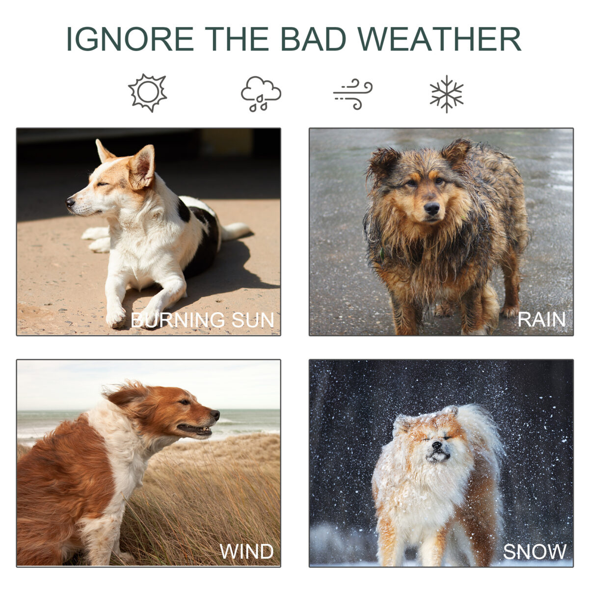 d6ba5ed0 4626 4942 8ce9 7c6b7de72412.jpg