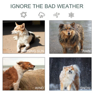 d6ba5ed0 4626 4942 8ce9 7c6b7de72412.jpg