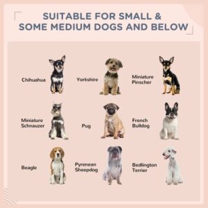 e77e036e 62d1 461f 990c ec124fcb2e74.jpg