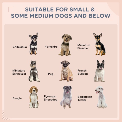 e77e036e 62d1 461f 990c ec124fcb2e74.jpg