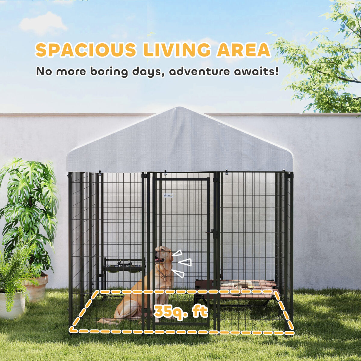 eb12f67d 648f 4ae2 9d5f 7395cb3f0ca9.jpg