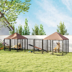 e10859be 5c06 43e8 a625 2e580765f323.jpg