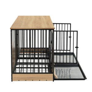 b8475482 581c 4ae1 b16c f543736b9045.jpg